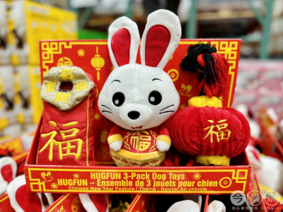 新年福兔寵物玩具3入 #137692