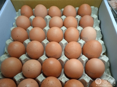 開箱 OKEGGS 褐殼洗選雞蛋-L規格 #131501