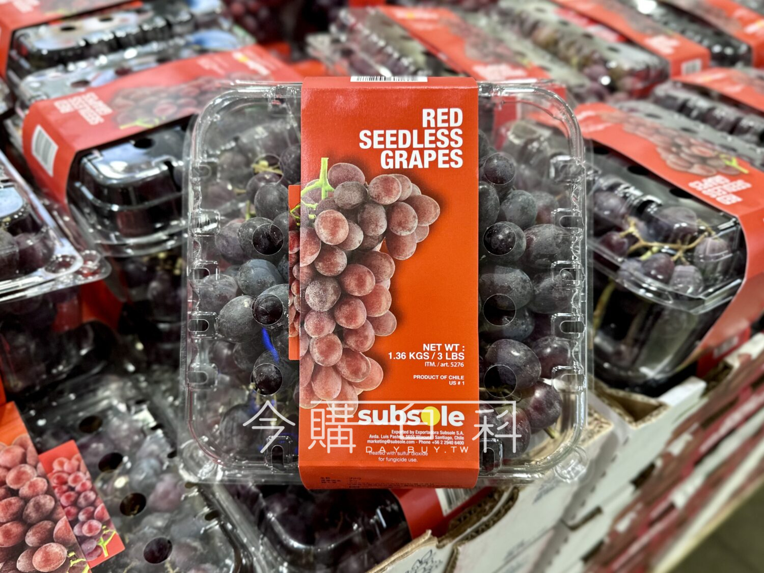 智利無籽紅葡萄 #583337