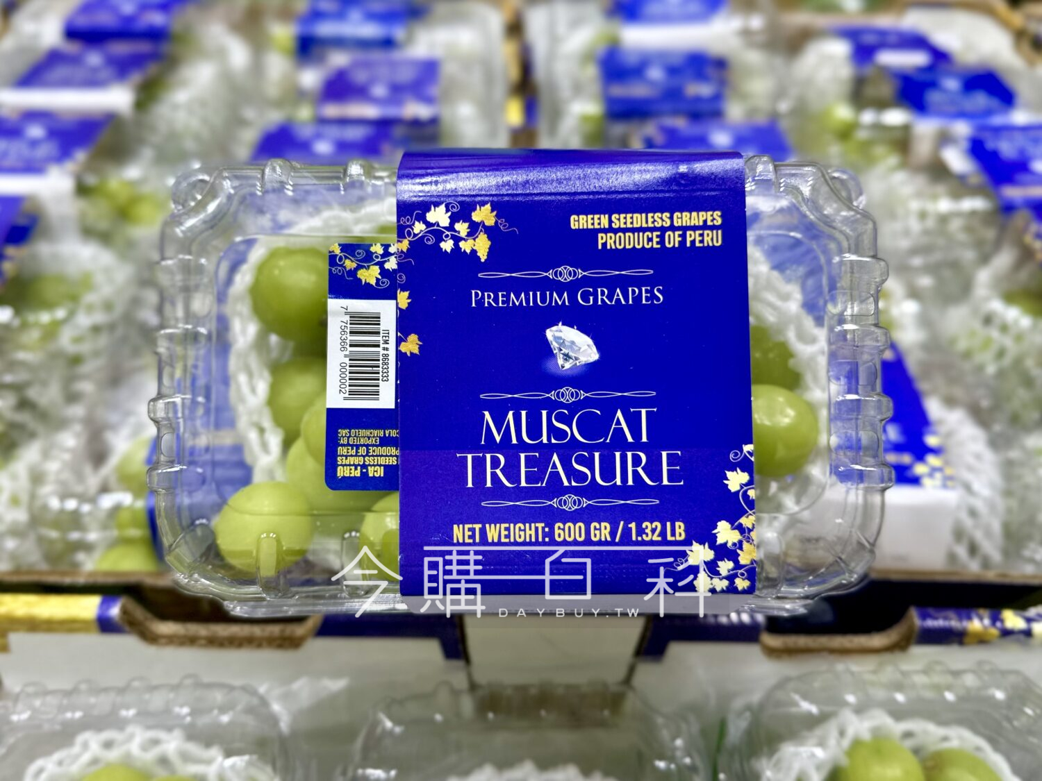 袐魯麝香葡萄 #8683333