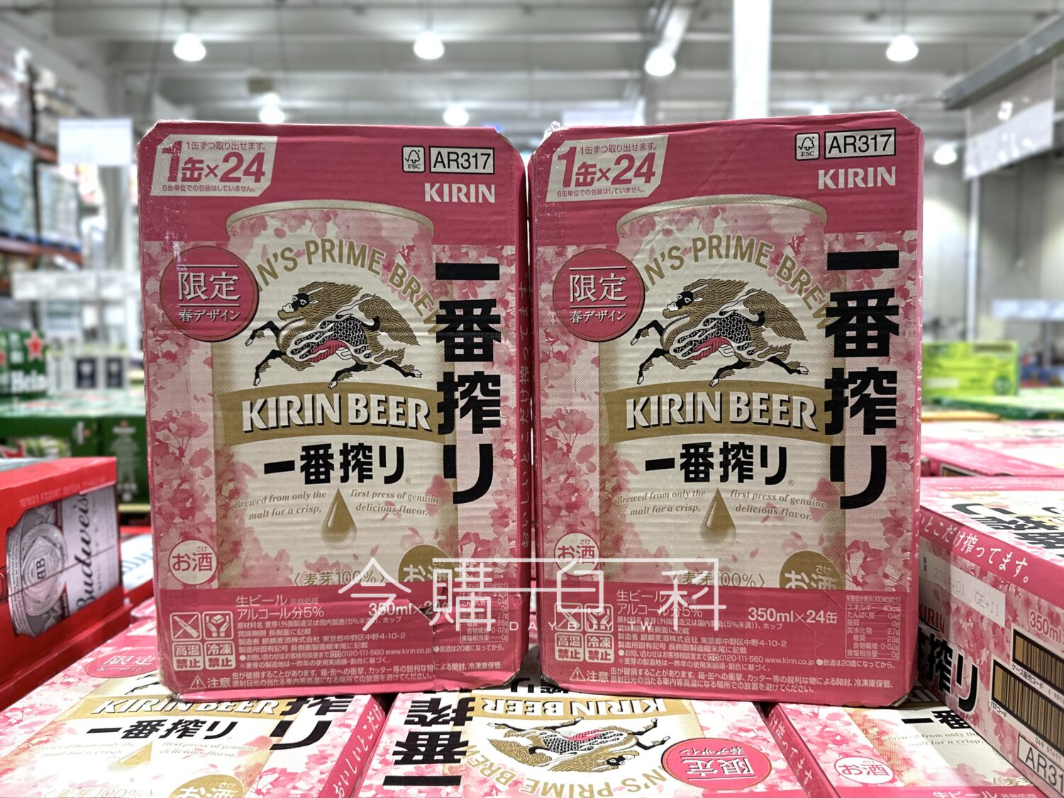 KIRIN 麒麟一番啤酒櫻花罐 #143731