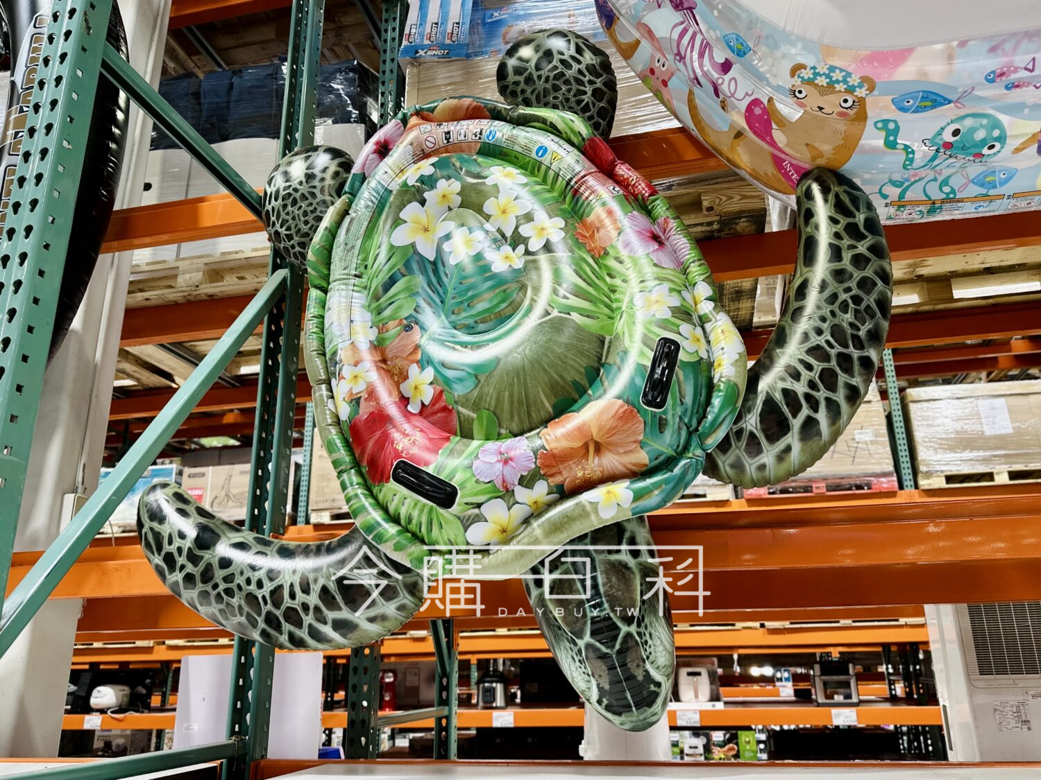 INTEX 海龜造型水上漂浮氣墊 #142533