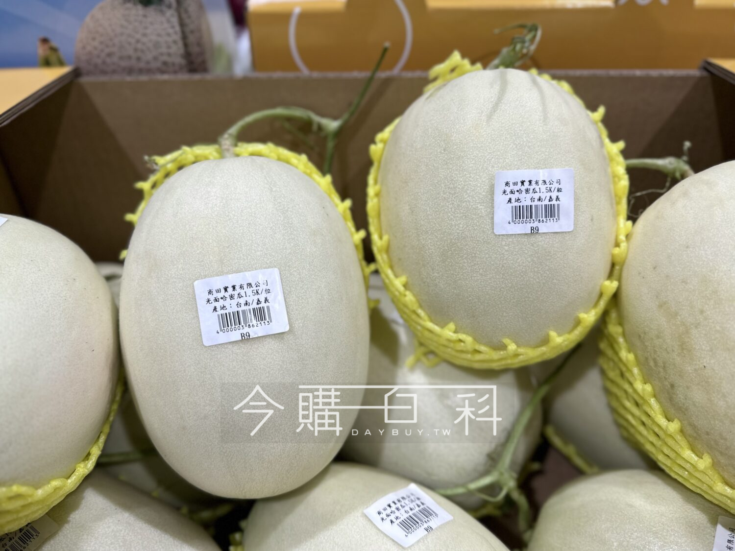 光面哈蜜瓜 #386211