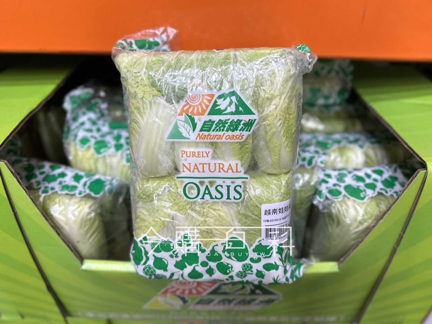 越南娃娃菜 #8808608