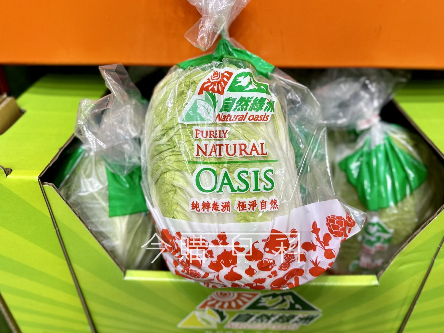 越南大白菜 #150656