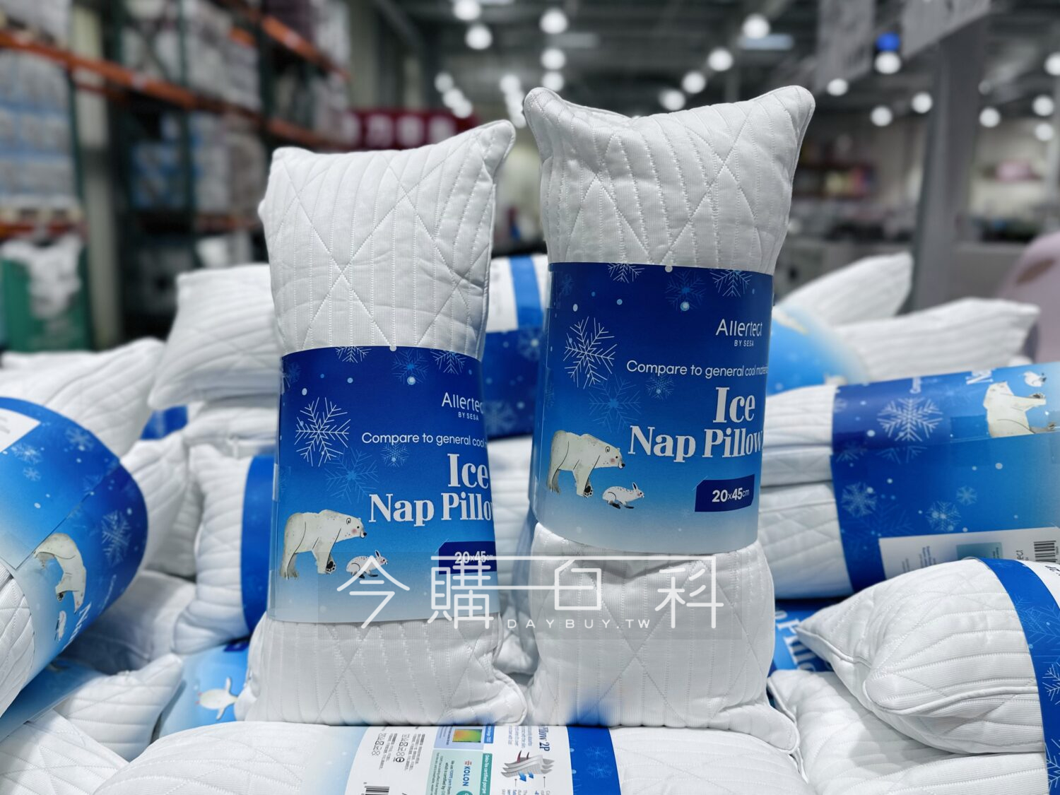 ALLERTECT 涼感小抱枕2入 #645430