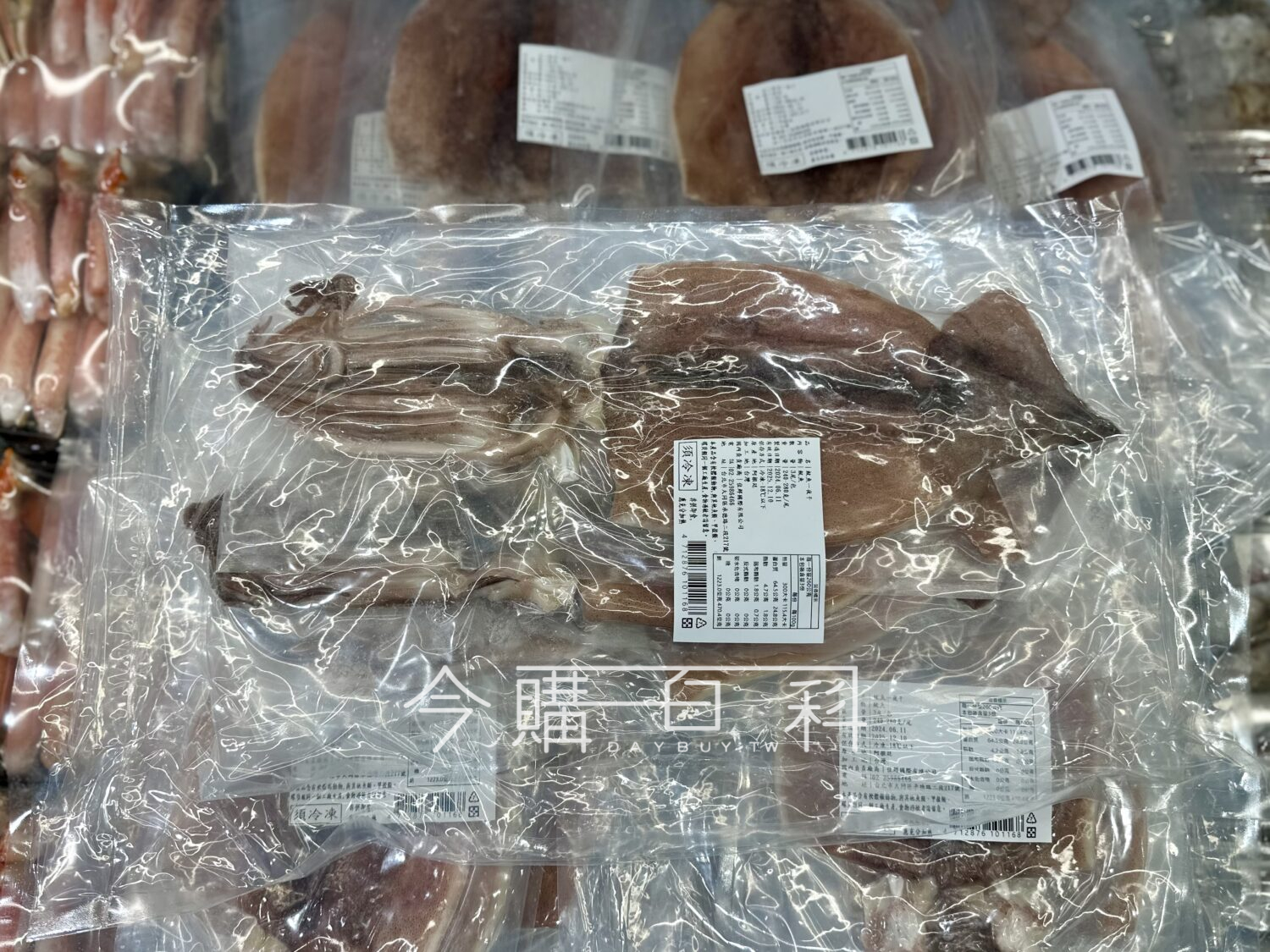 魷魚一夜干 #212838