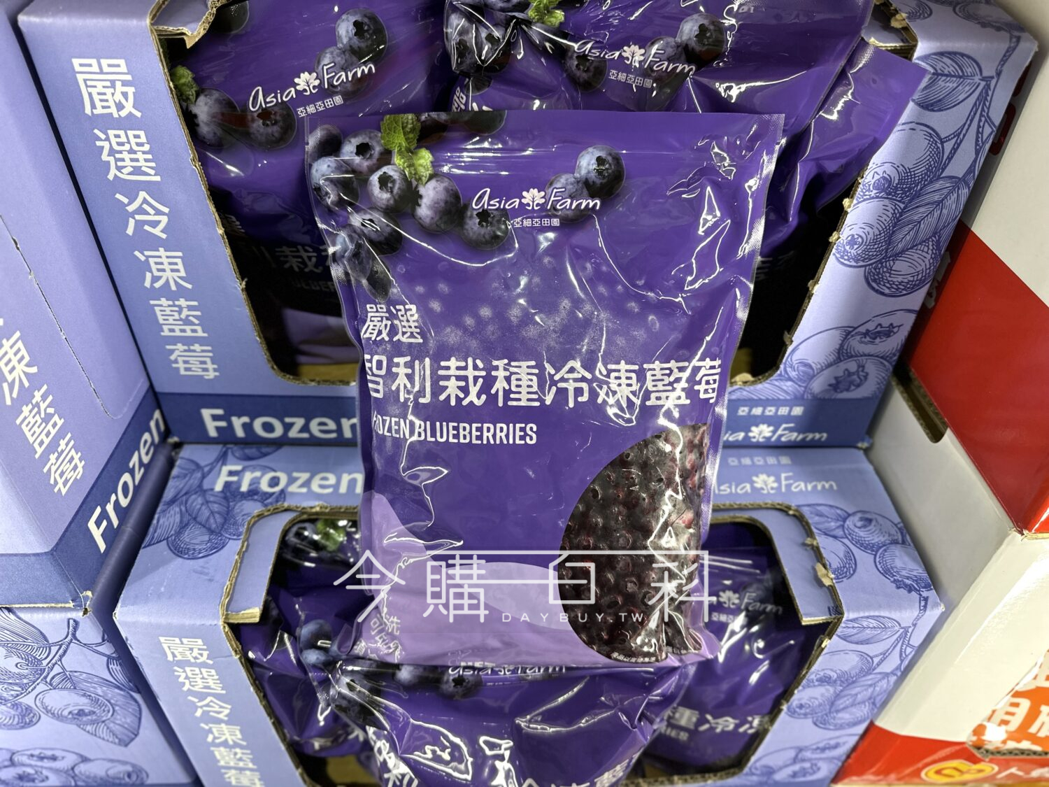 ASIA FARM 亞細亞冷凍智利藍莓 #866578