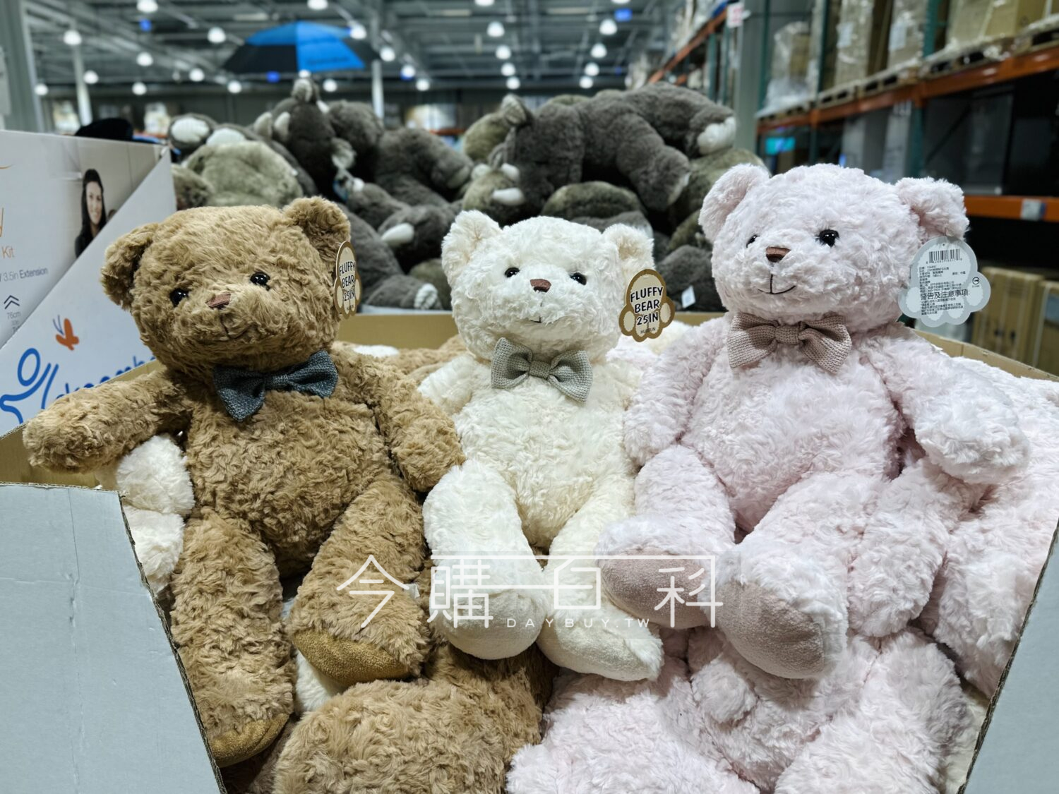 25吋熊熊絨毛玩偶 #556892