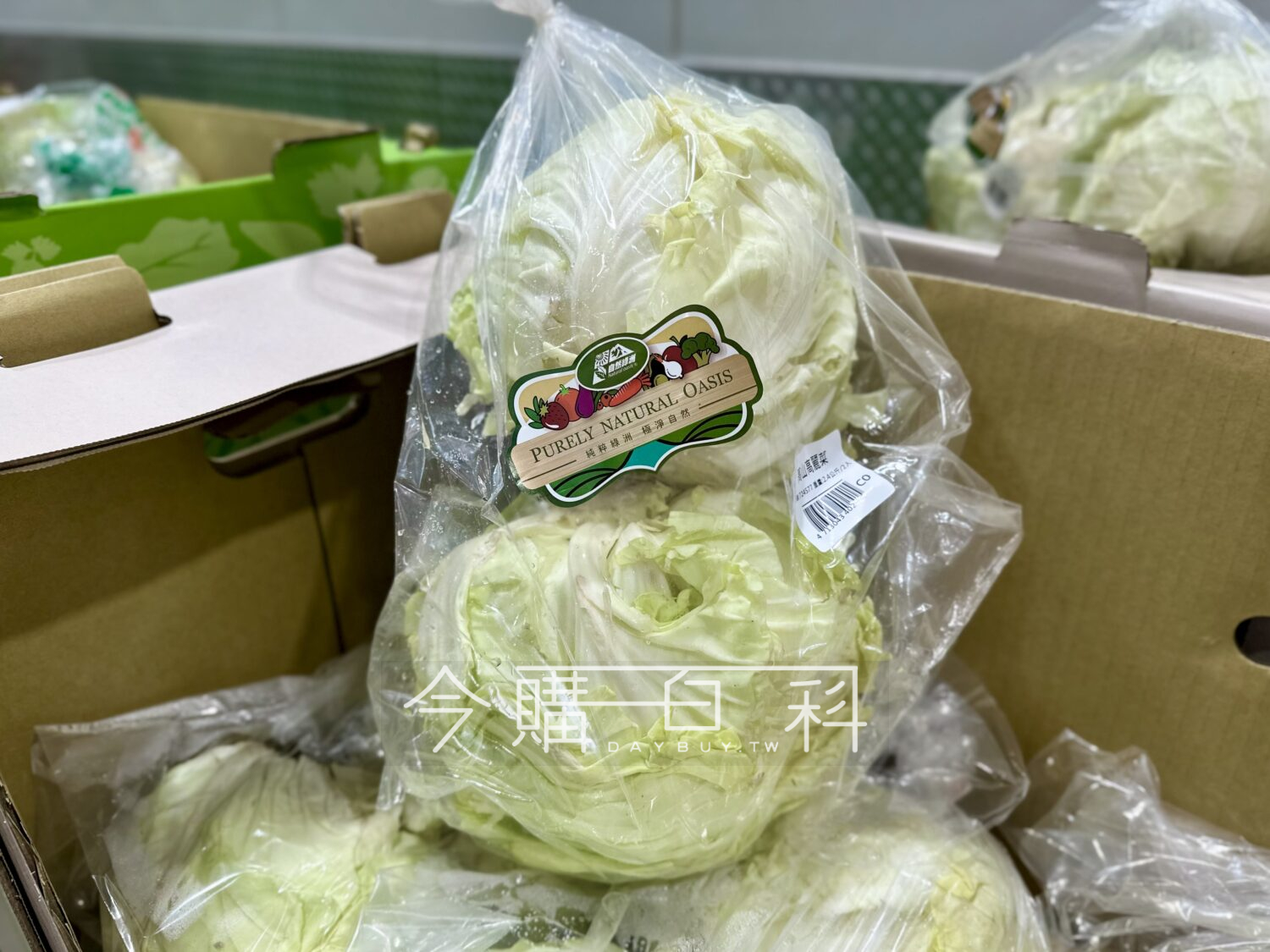 高山高麗菜 #724577