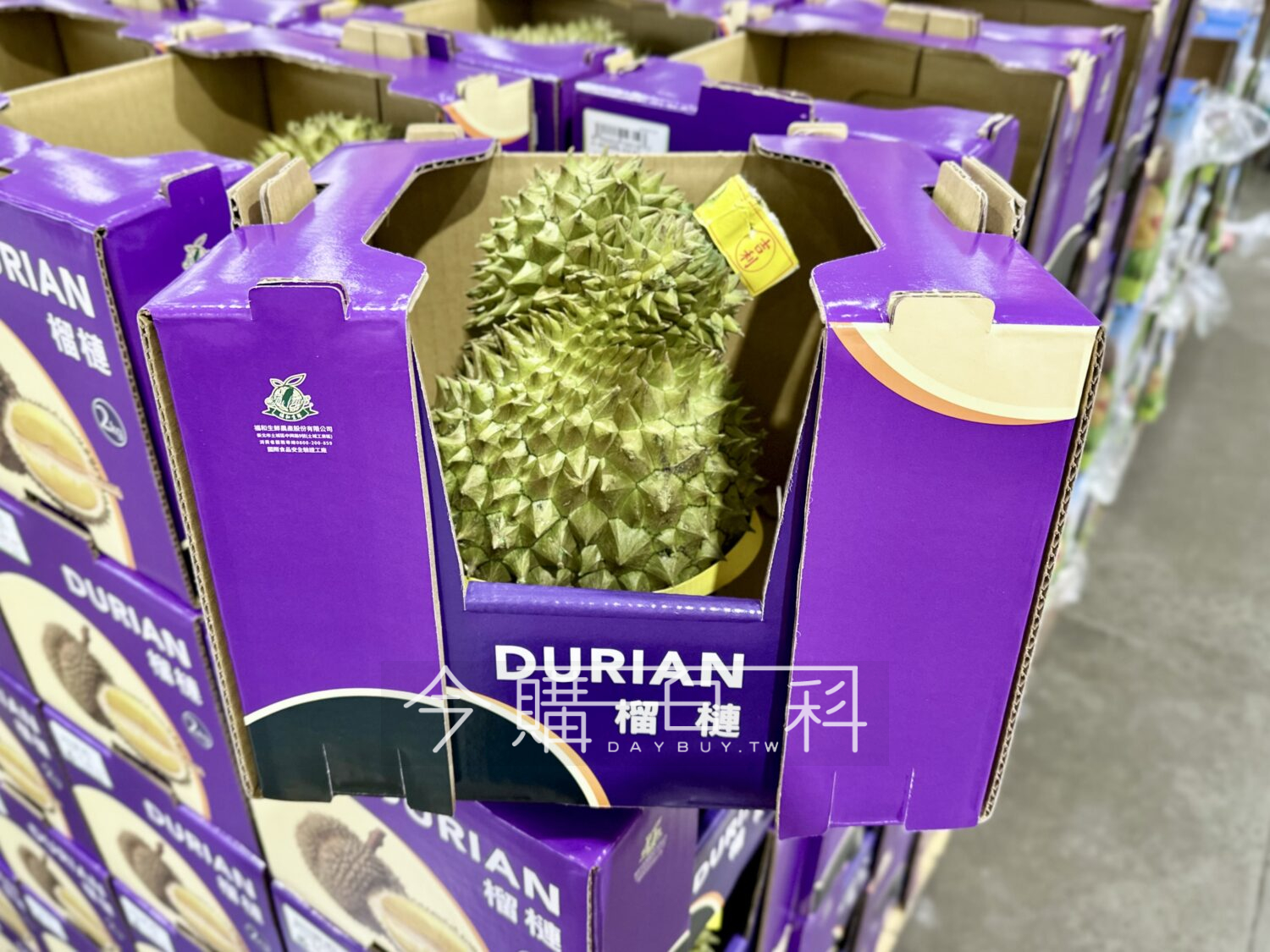 越南金枕頭榴槤2公斤 #219319