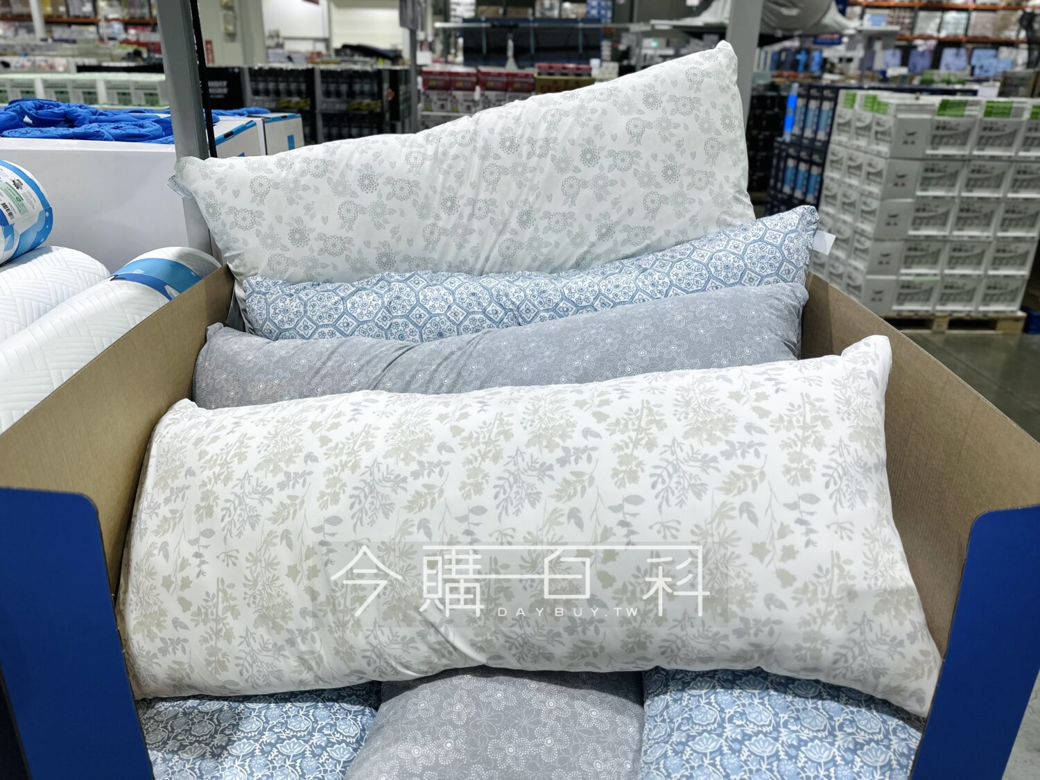 CASUAL LIVING 涼感長抱枕 #198934