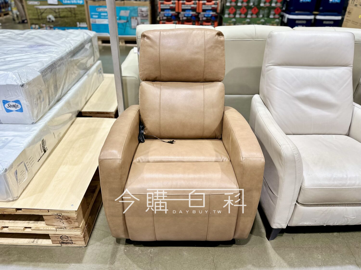 SYNERGY 牛皮電動躺椅 #1812542