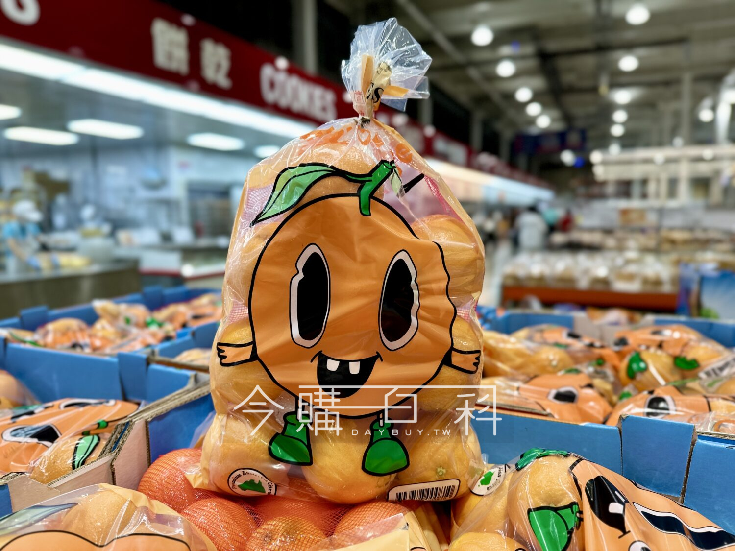 澳洲甜橙 #152442