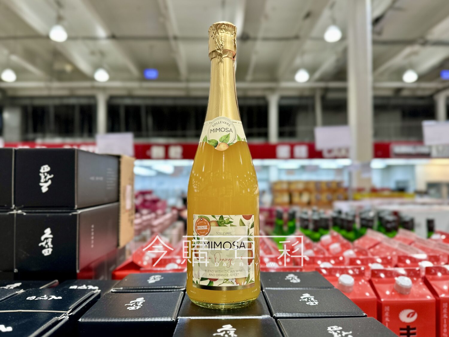 SOLLEVARE MIMOSA 柳橙水果酒 #150639