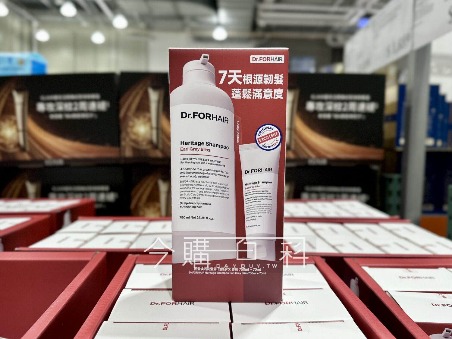 DR.FORHAIR 固髮煥活洗髮露 #151205