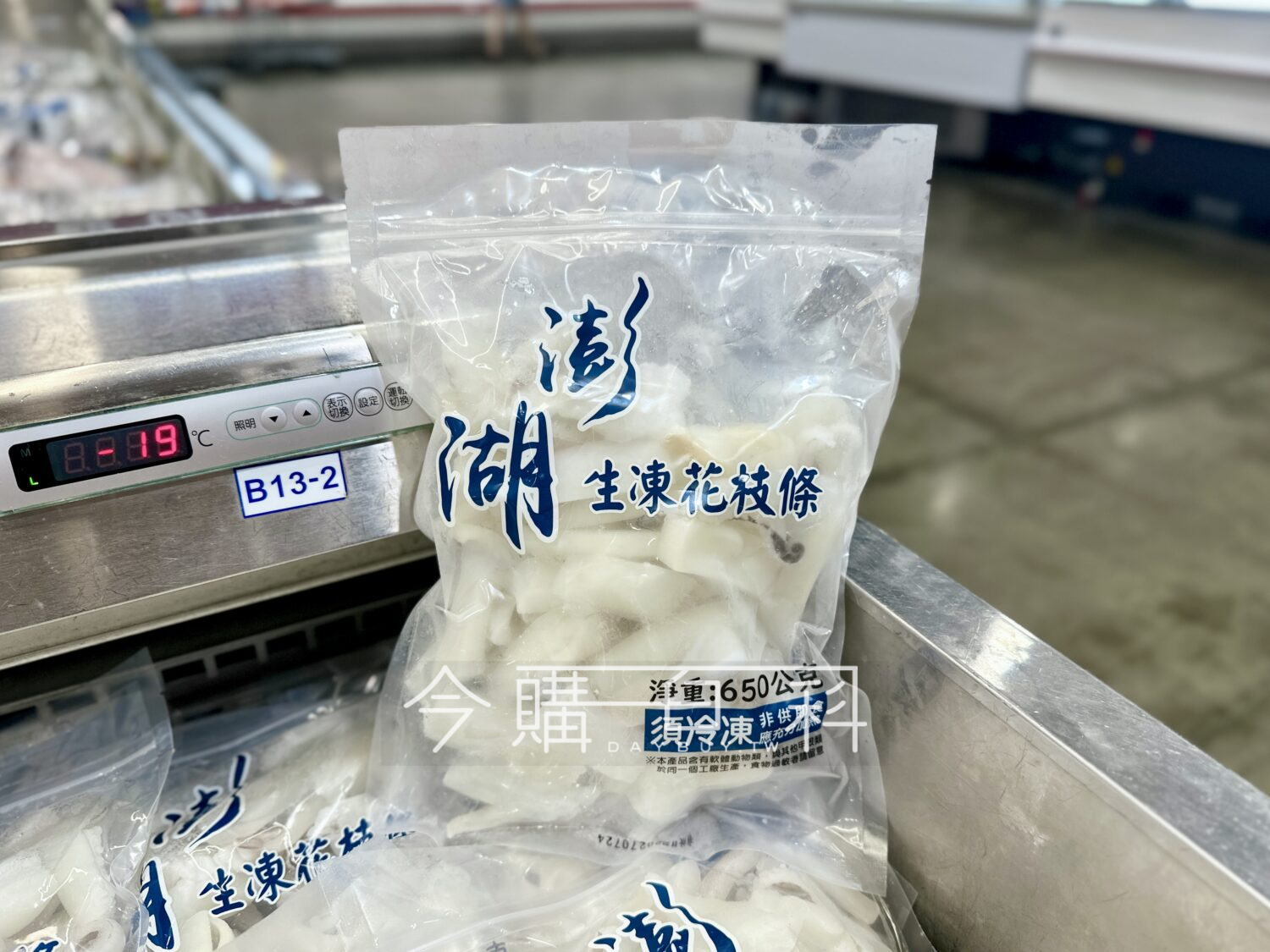 澎湖生凍花枝條 #351113