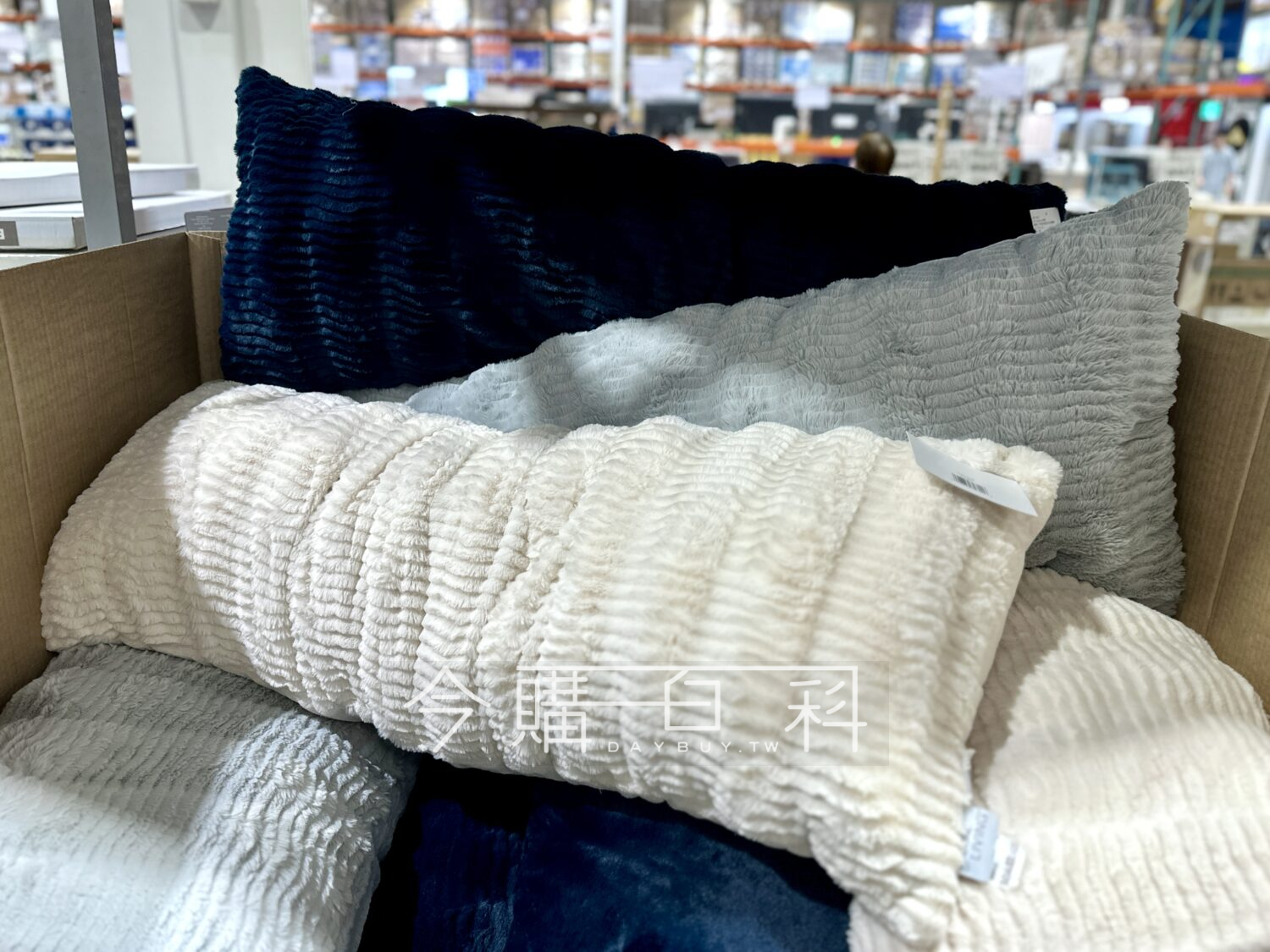 CASUAL LIVING 絨毛長抱枕 #1909175