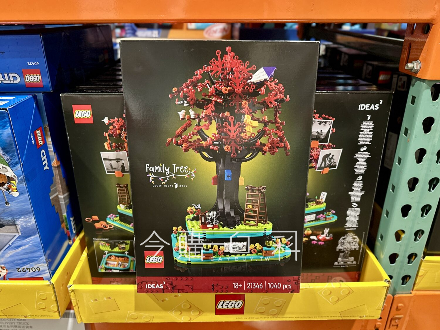LEGO IDEAS 21346 家庭樹 #153156
