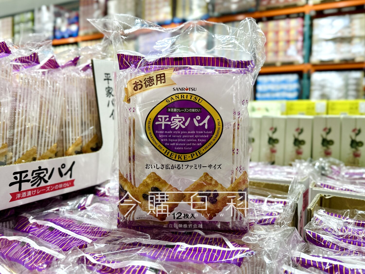 SANRITSU 三立製菓平家葡萄派家庭包 #153829