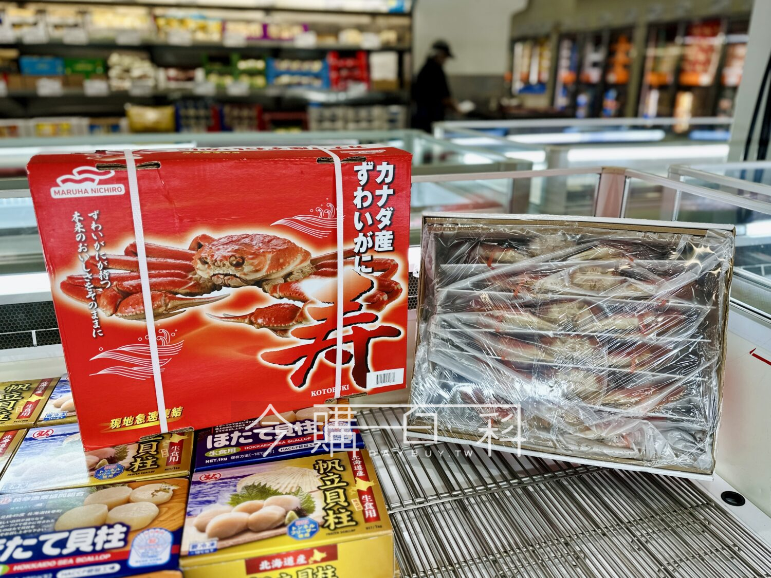 熟凍松葉蟹 #353087