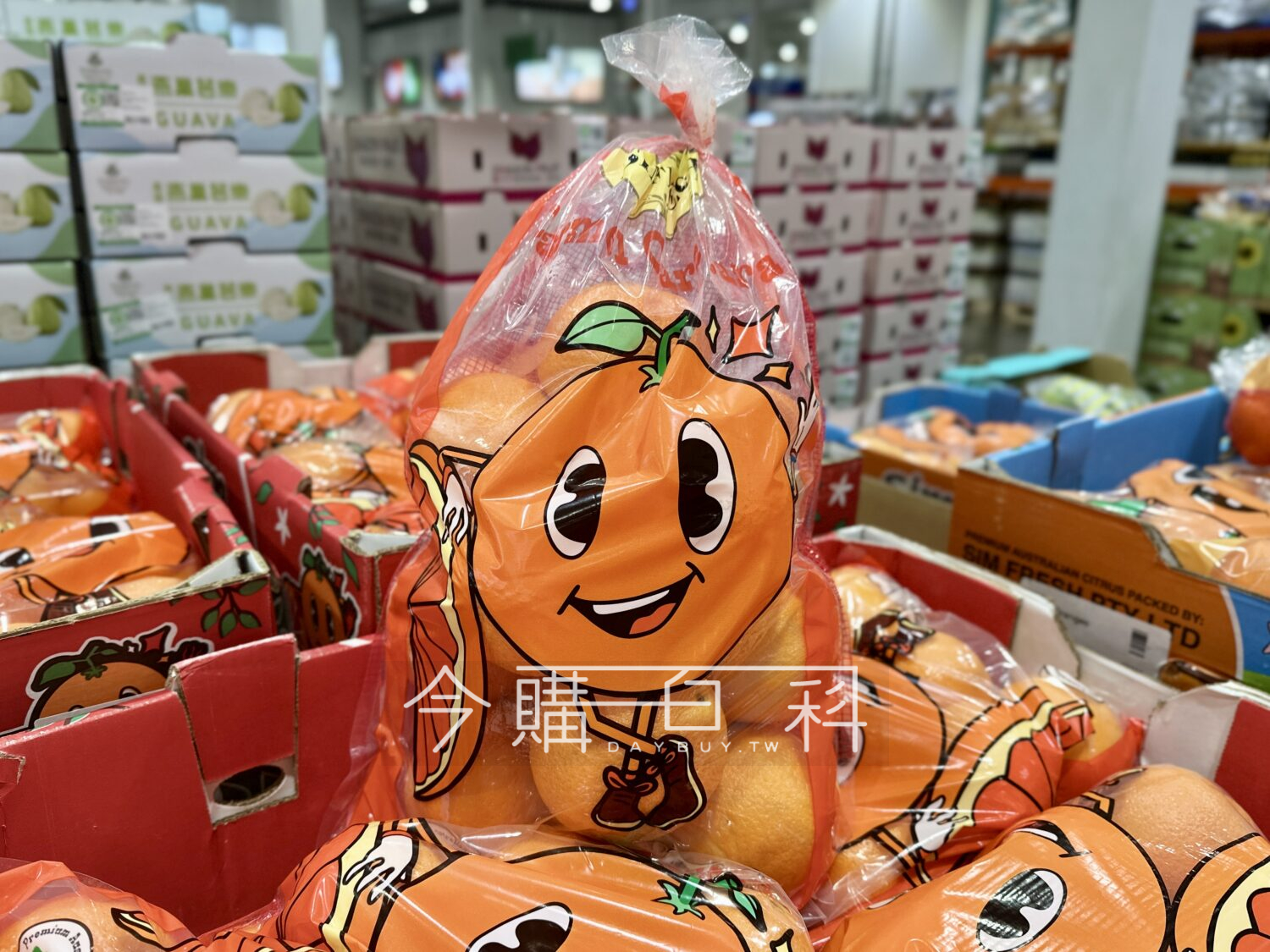 澳洲卡拉卡拉橙 #152444