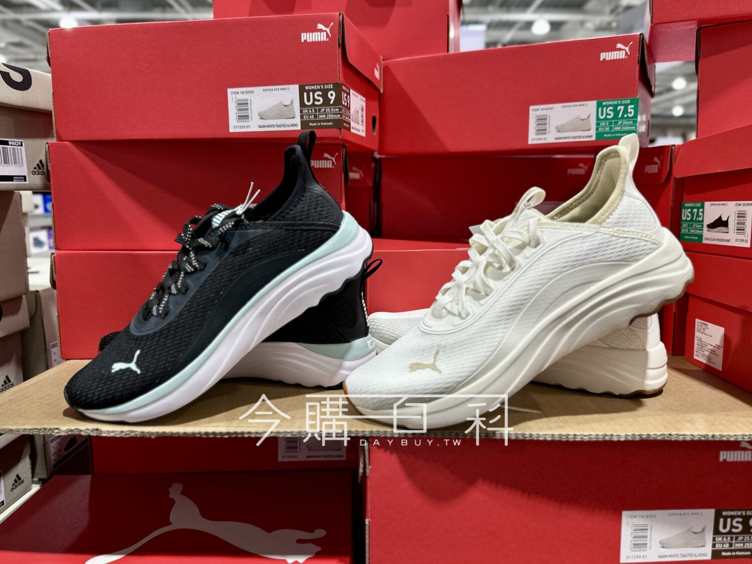 PUMA 女運動鞋 #1818959