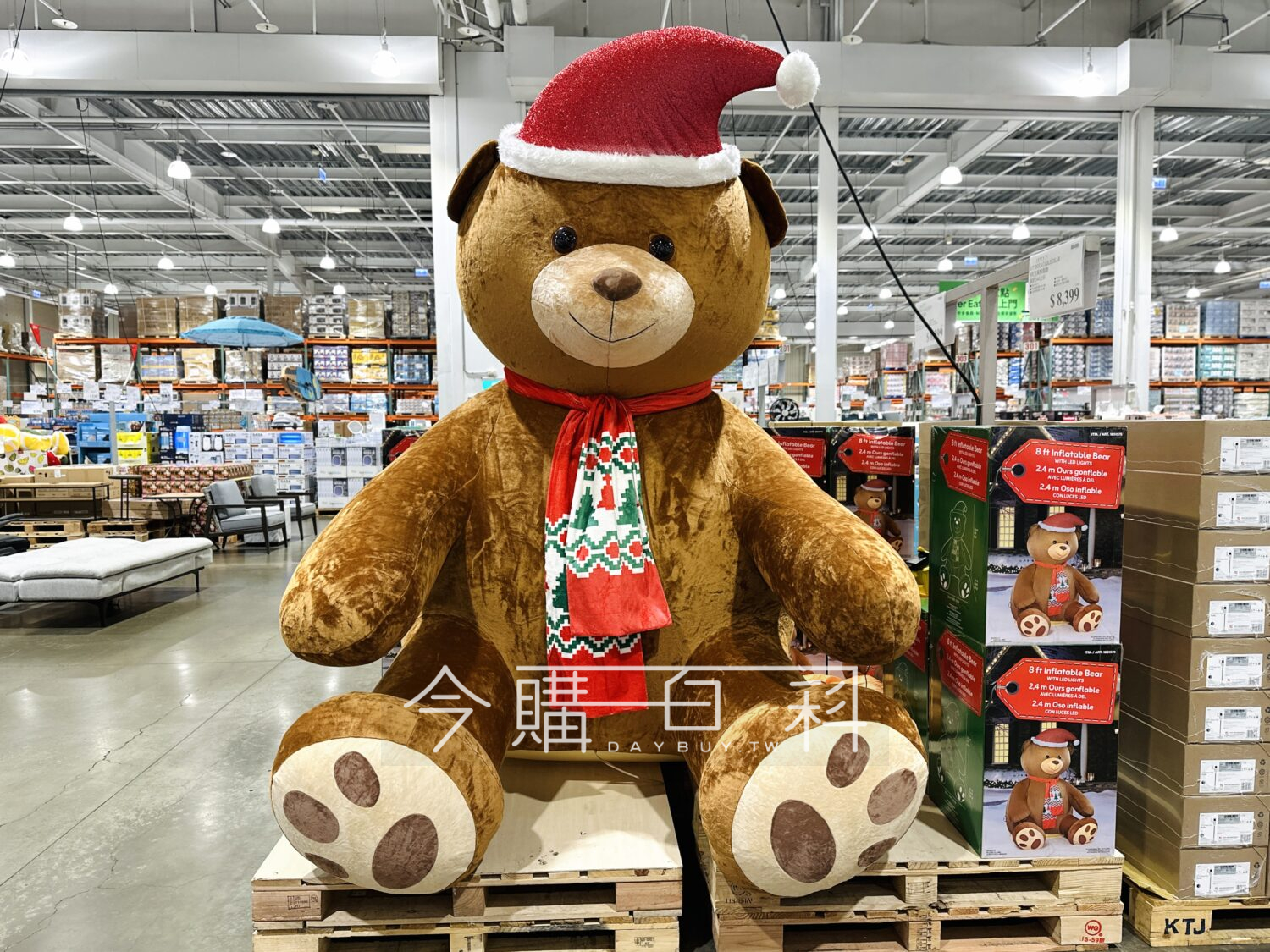 8呎充氣熊裝飾 #1851575