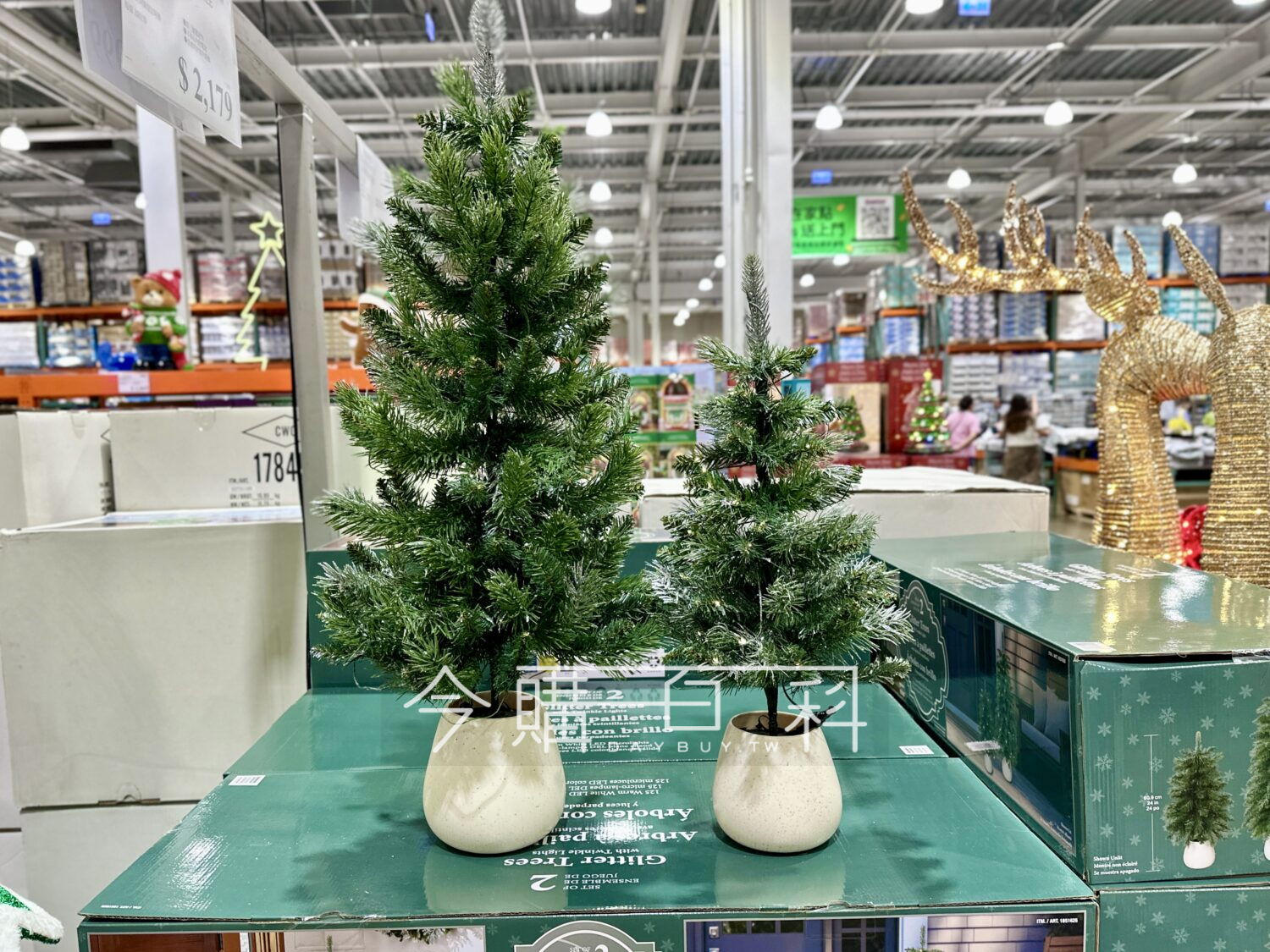 聖誕樹盆栽擺飾2入組 #1851625