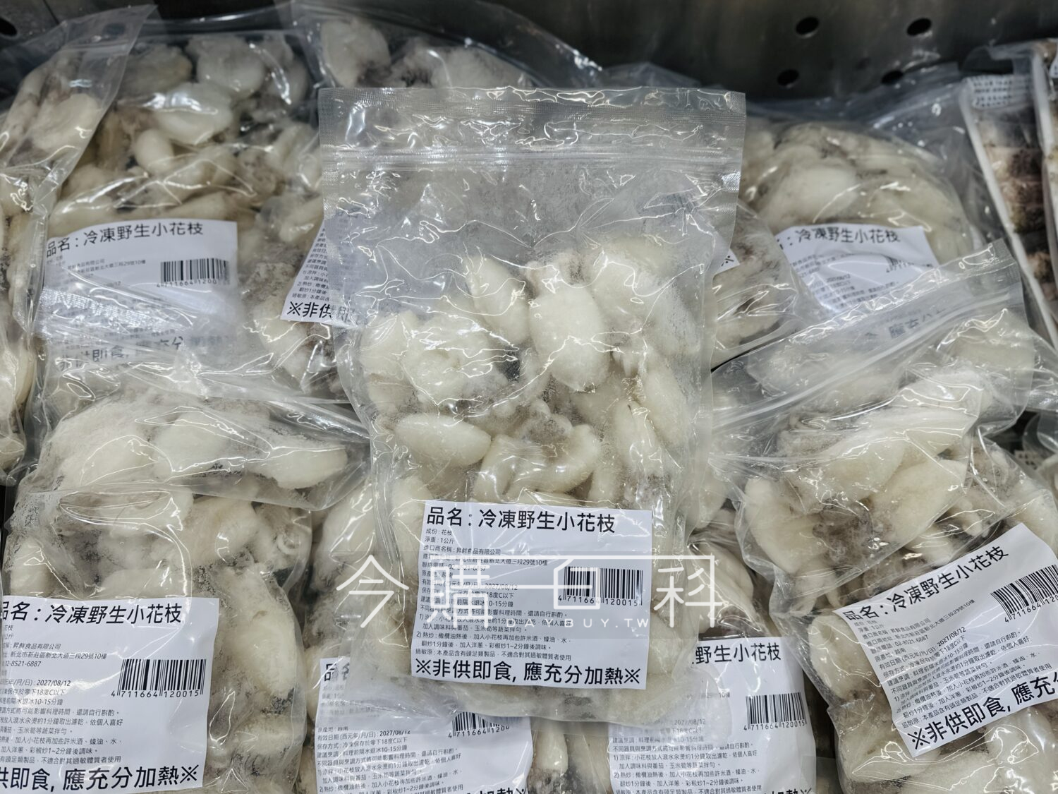 冷凍野生小花枝 #351115