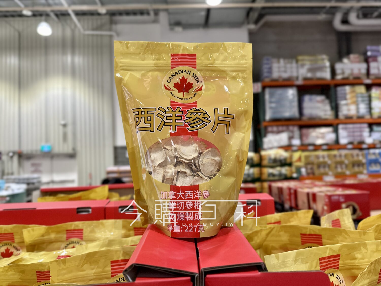 CANADIAN VITA 西洋蔘片 #153973