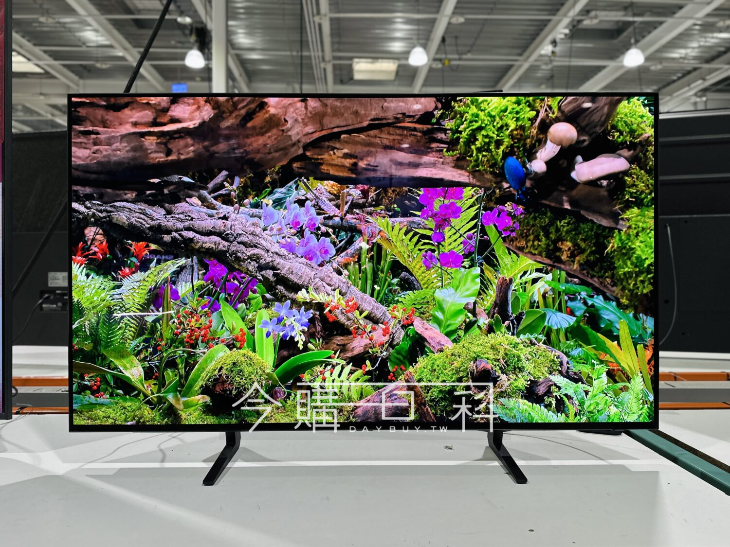 SAMSUNG 48吋OLED顯示器 #158573